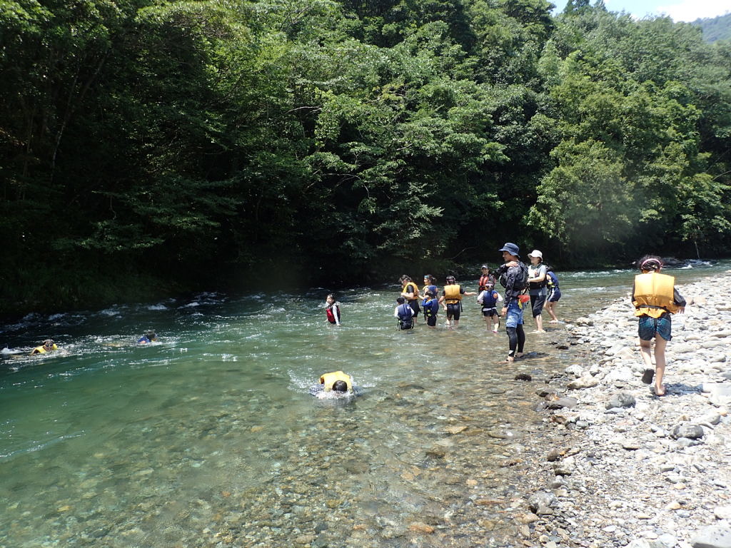 黒岩小中学校ｐｔａの皆さんの水生生物調査 Npo法人五ヶ瀬川流域ネットワーク